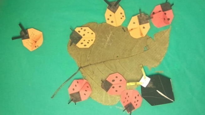 Origami